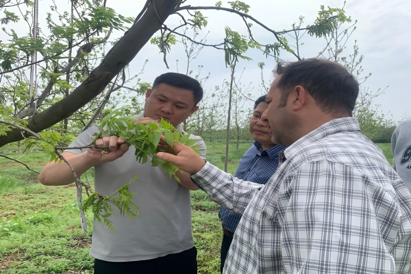 微信图片_20250708172853(1).jpg