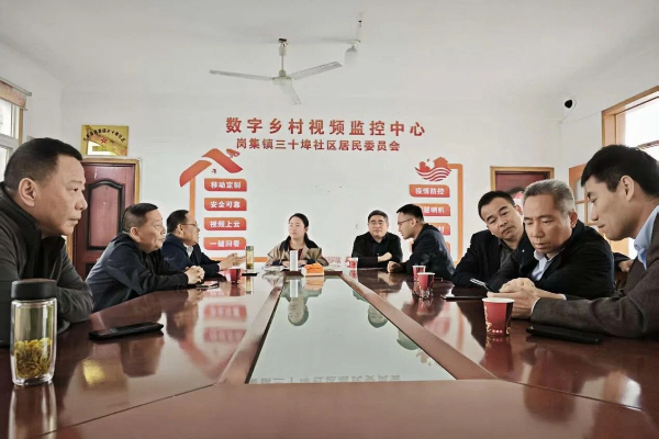 长丰县岗集镇:聚焦“三有”发力 让农村老年党员教育管理更接地气 .jpg
